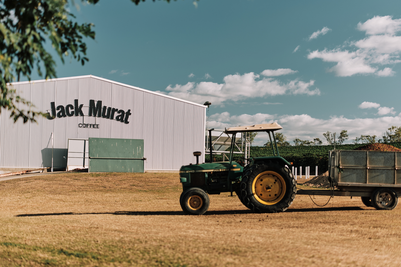 The definitive guide to Australian-grown coffee