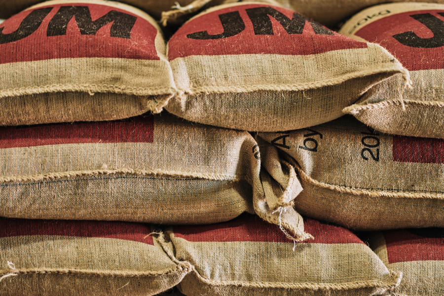 How we grow and process coffee at Jack Murat
