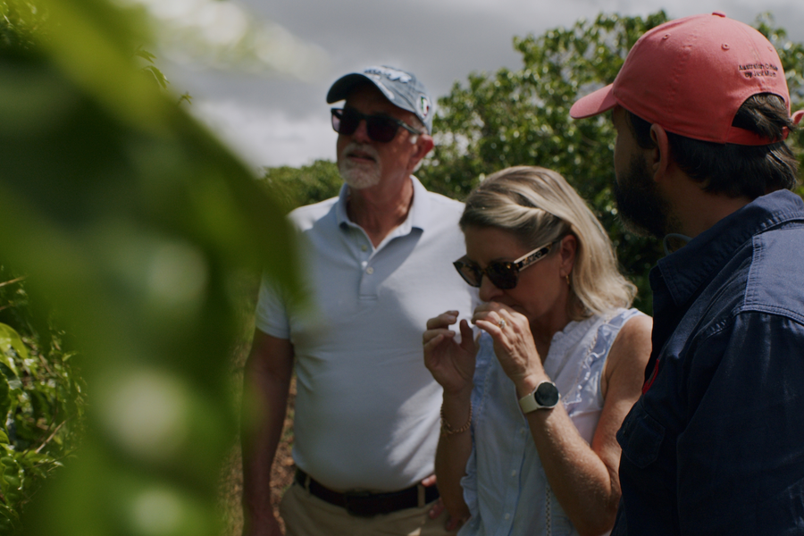 What to Expect on the Jack Murat Coffee Farm Tour