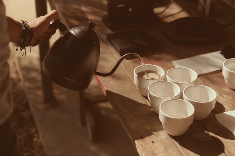 The Mareeba coffee trail — farms, tours & tastings | Jack Murat