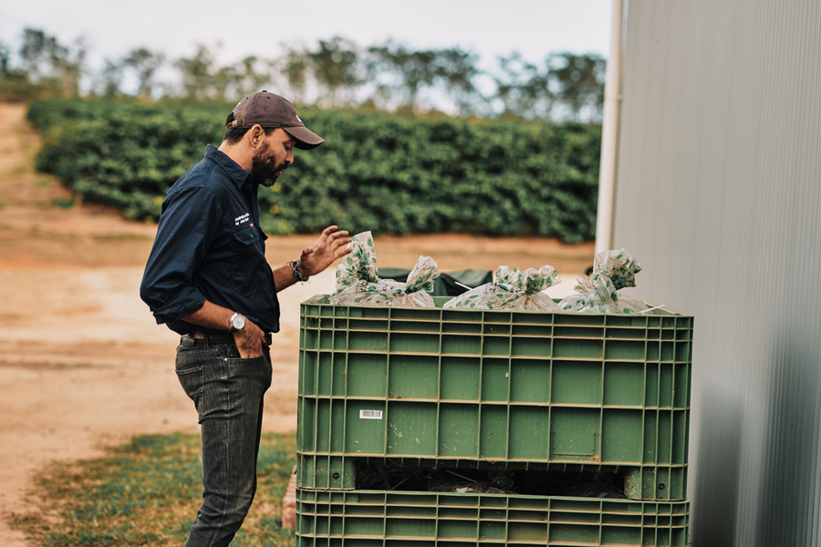Lactic fermentation in coffee: what it is and why we use it