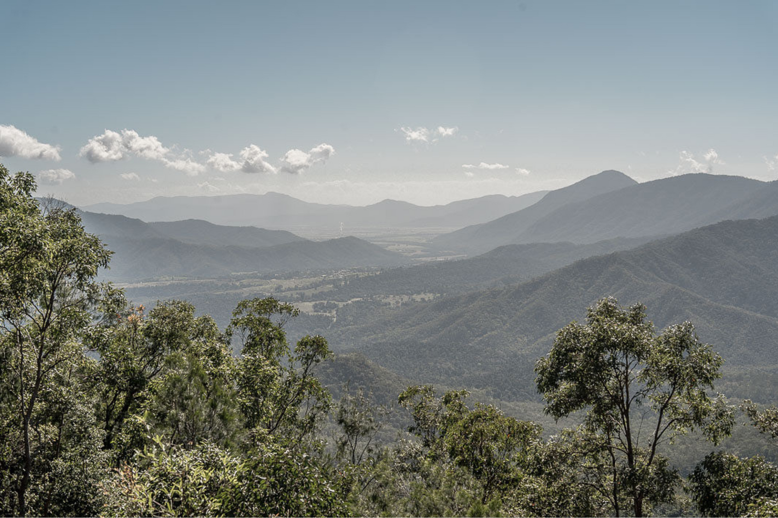 Australian Grown Coffee: What Terroir Really Means