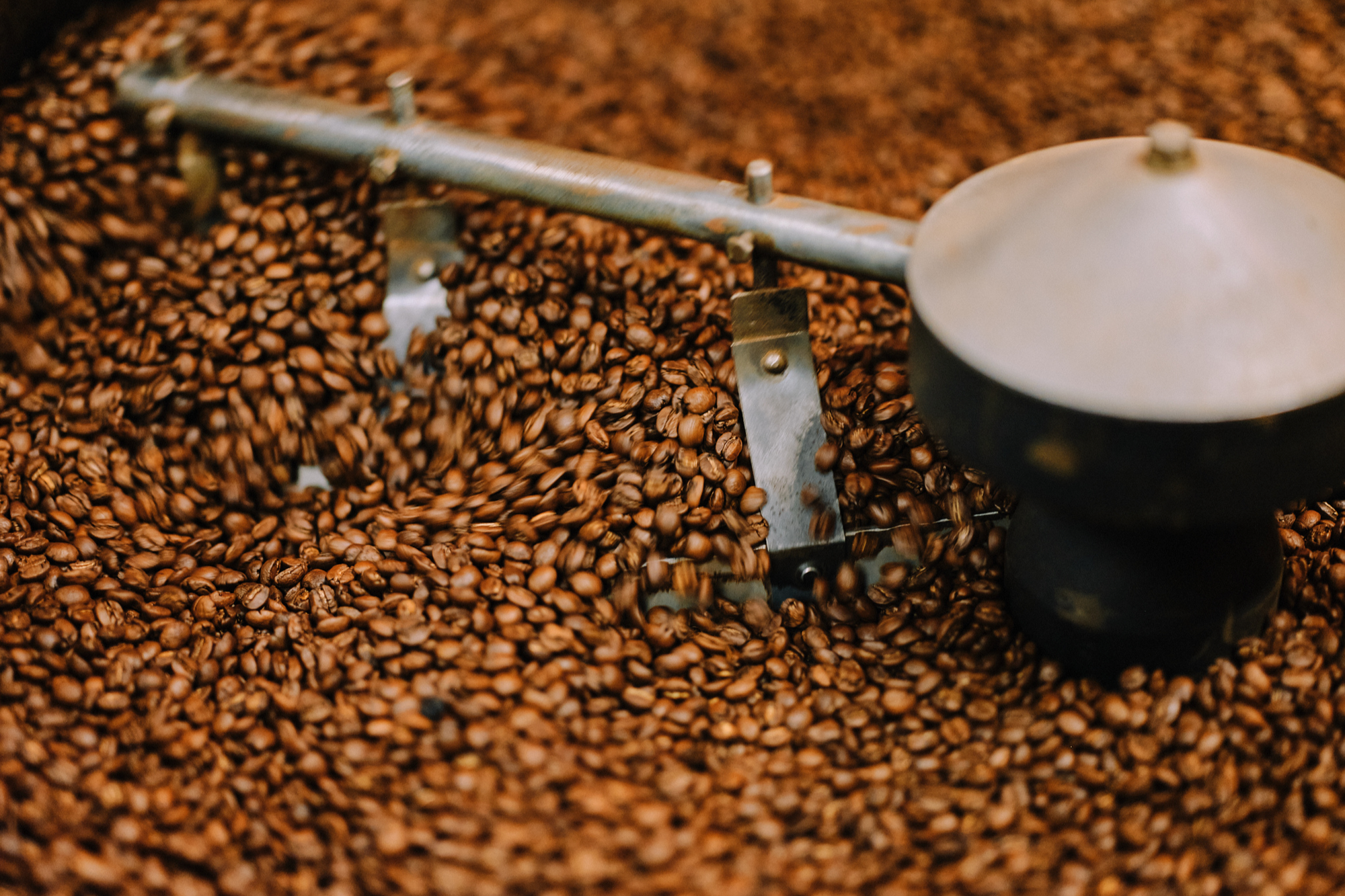 Jack Murat wins silver at Sydney Royal Fine Food Show & Golden Bean | Australian coffee awards