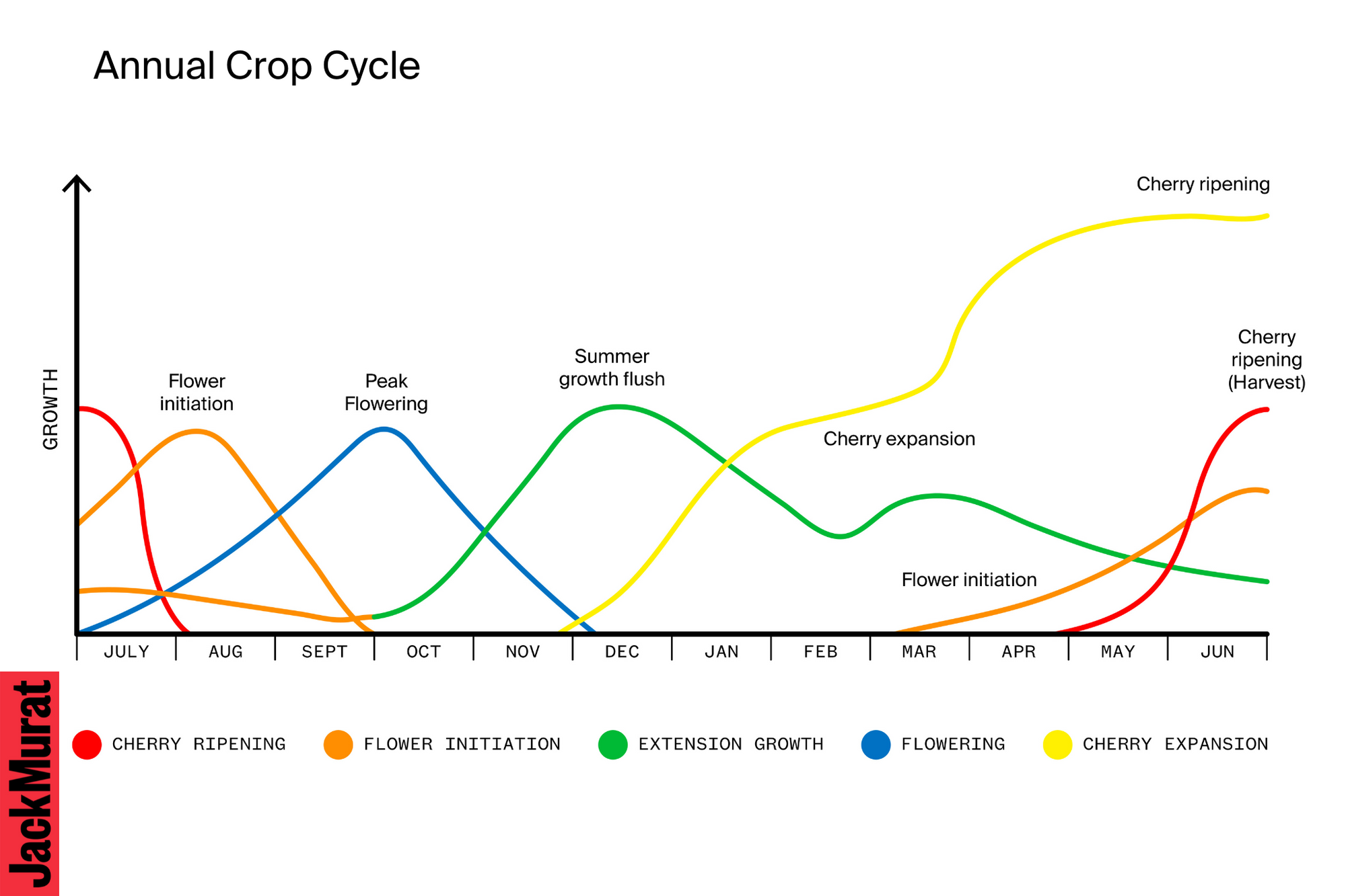 Jack Murat Annual Crop Cycle of Australian Coffee Cultivation