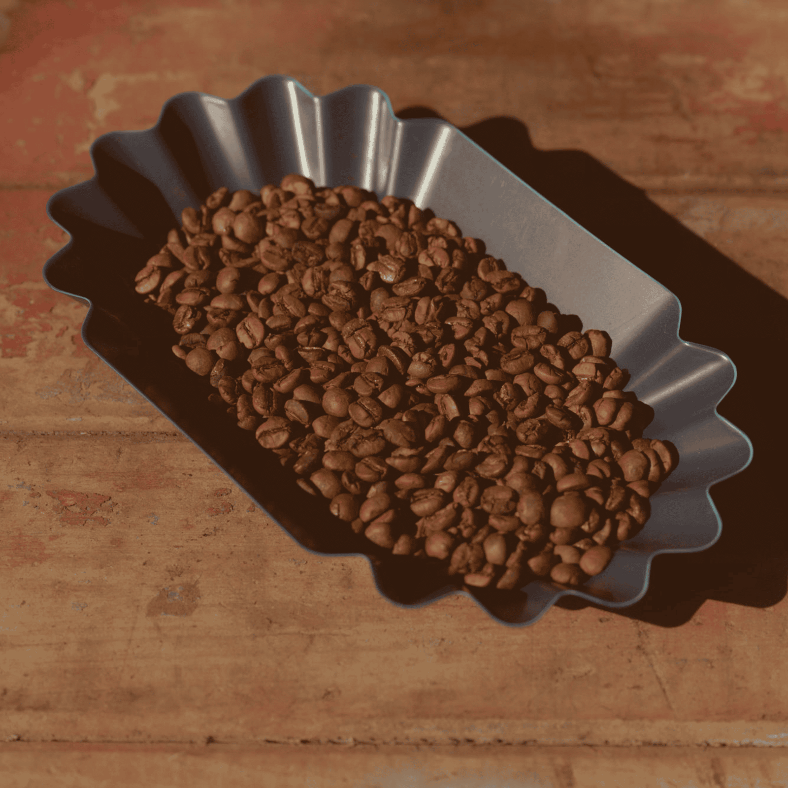 Freshly roasted coffee beans in a metal tray