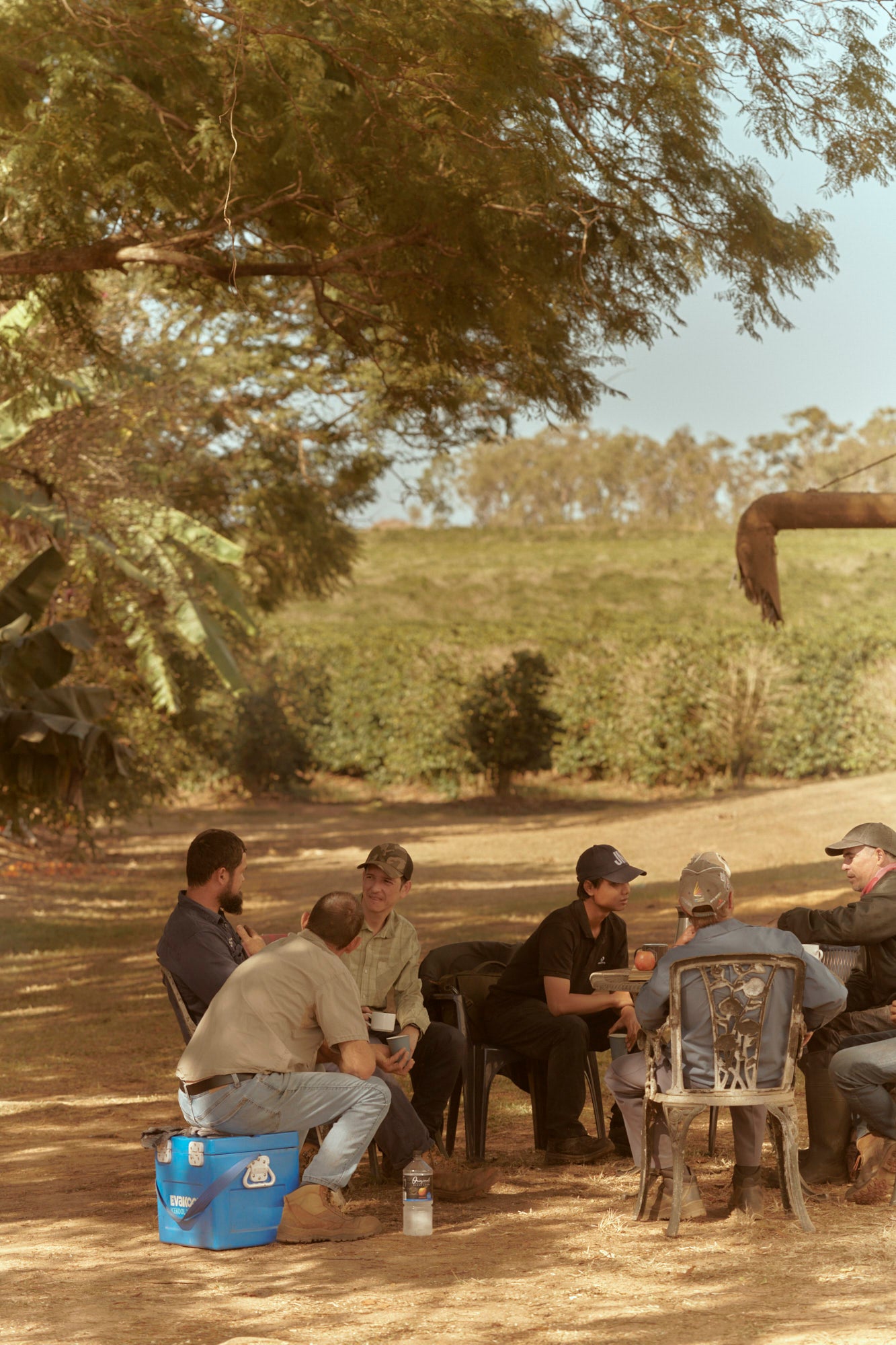 Hosted by the people who run the farm