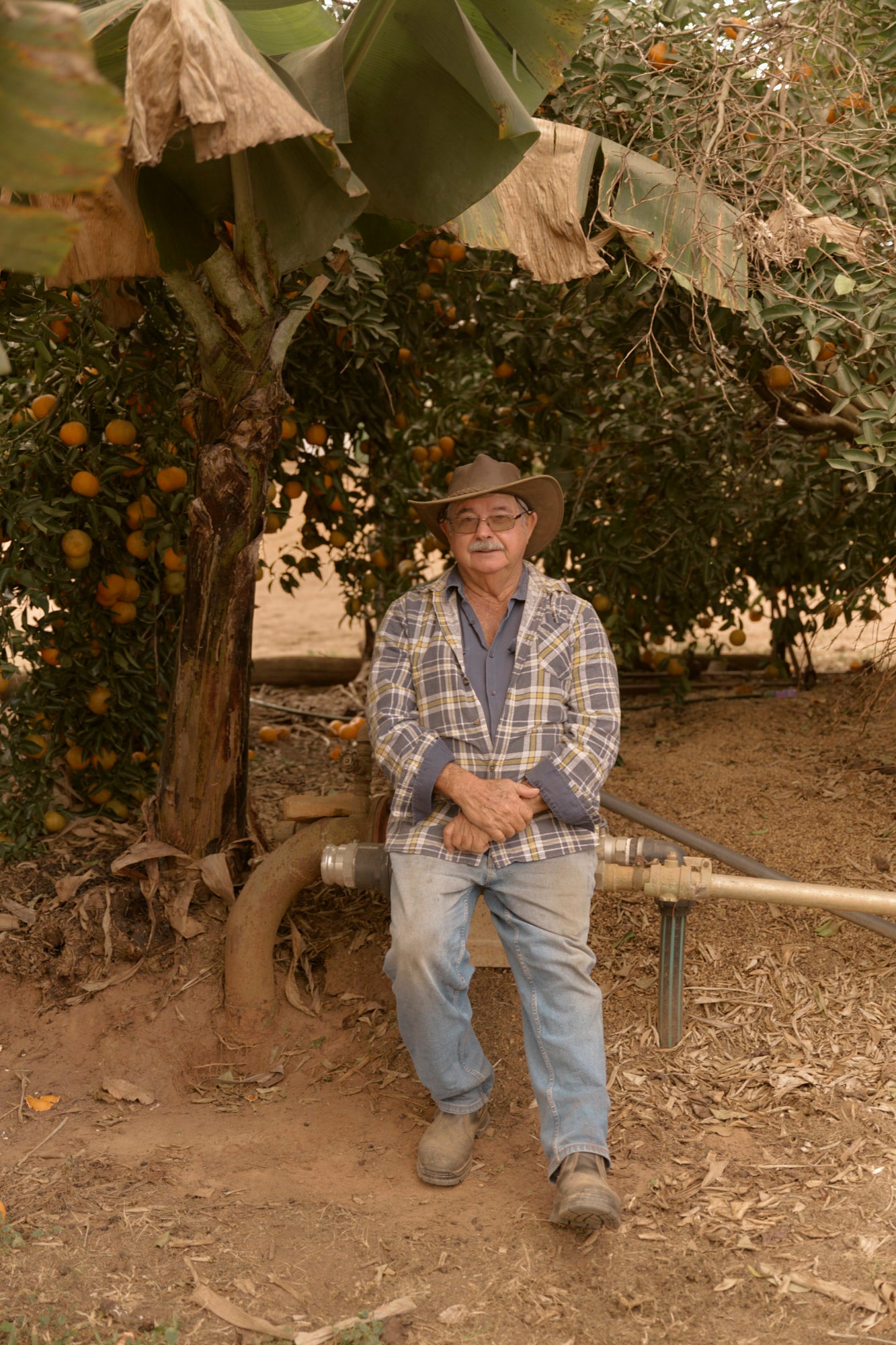An elder Jack Murat farmer seated under a tree on the estate