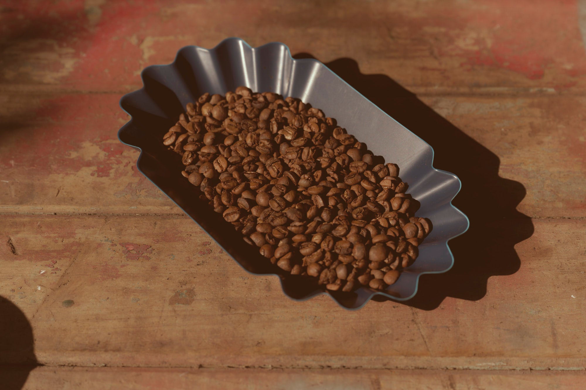 Freshly roasted coffee beans in a metal tray